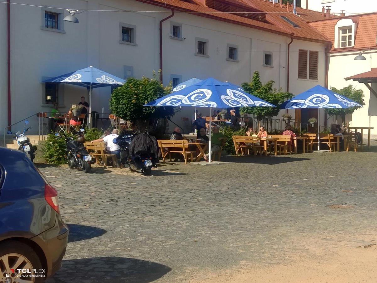 Pension Pia Cvikov Экстерьер фото
